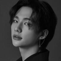 SKZ Hyunjin ('00 L)