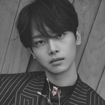 VIXX N ('90 L)